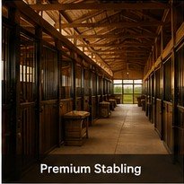 Golden King Stud farm gallery image 2