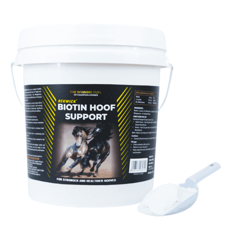 Bekwick Biotin Hoof Support &ndash; Premium Equine Hoof Care