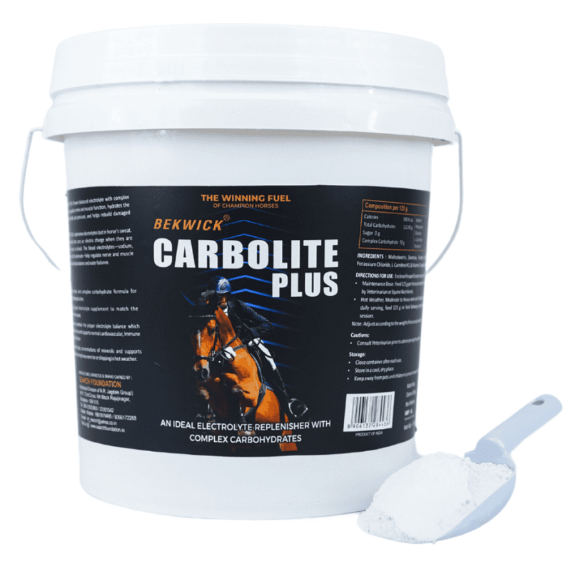 Bekwick Carbolite Plus - 5Kg Electrolyte Supplement for Horses