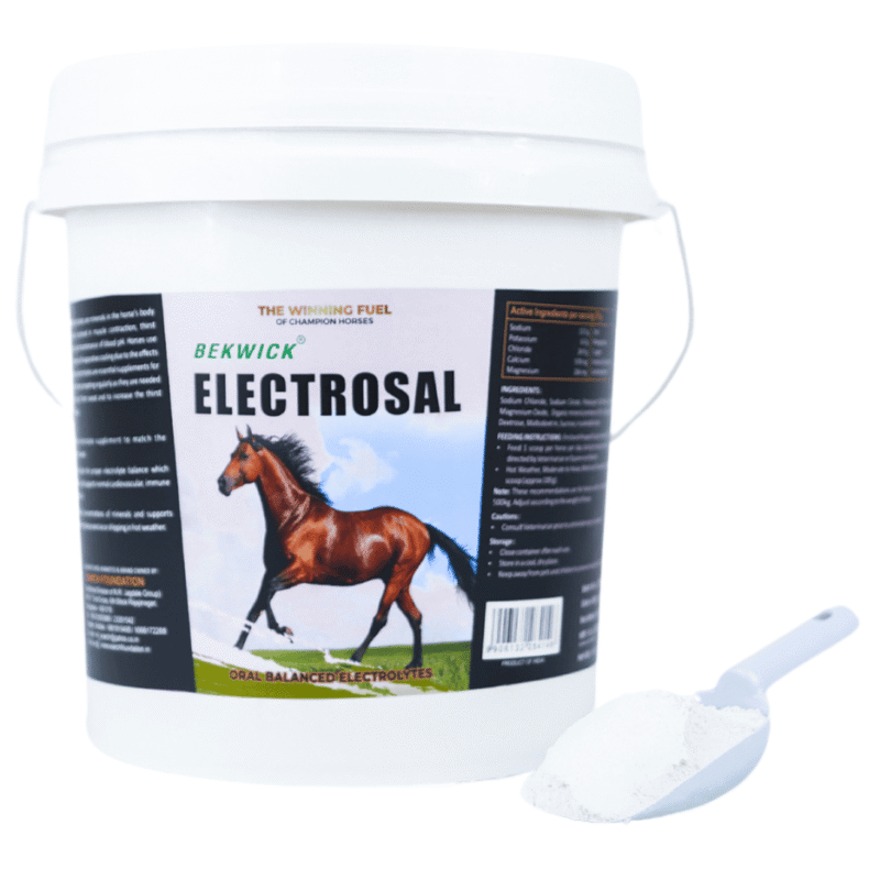Bekwick Electrosal - 5Kg Electrolyte Supplement for Horses