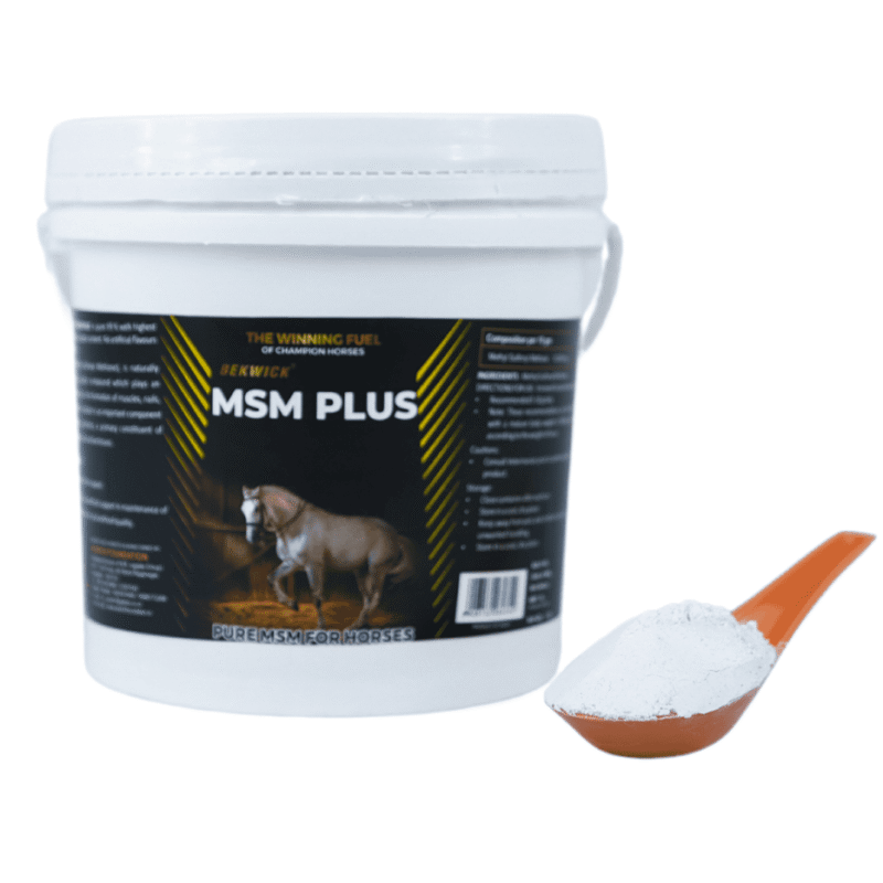 Bekwick MSM Plus - 1Kg Pure Methyl Sulfonyl Methane Supplement