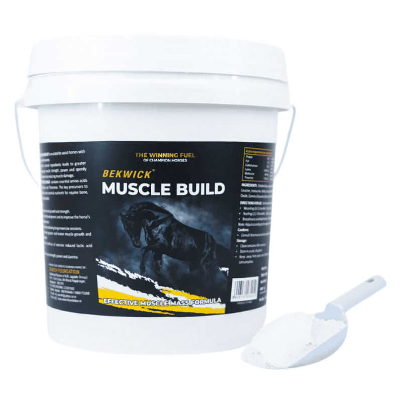 Bekwick Muscle Build Plus - 5Kg
