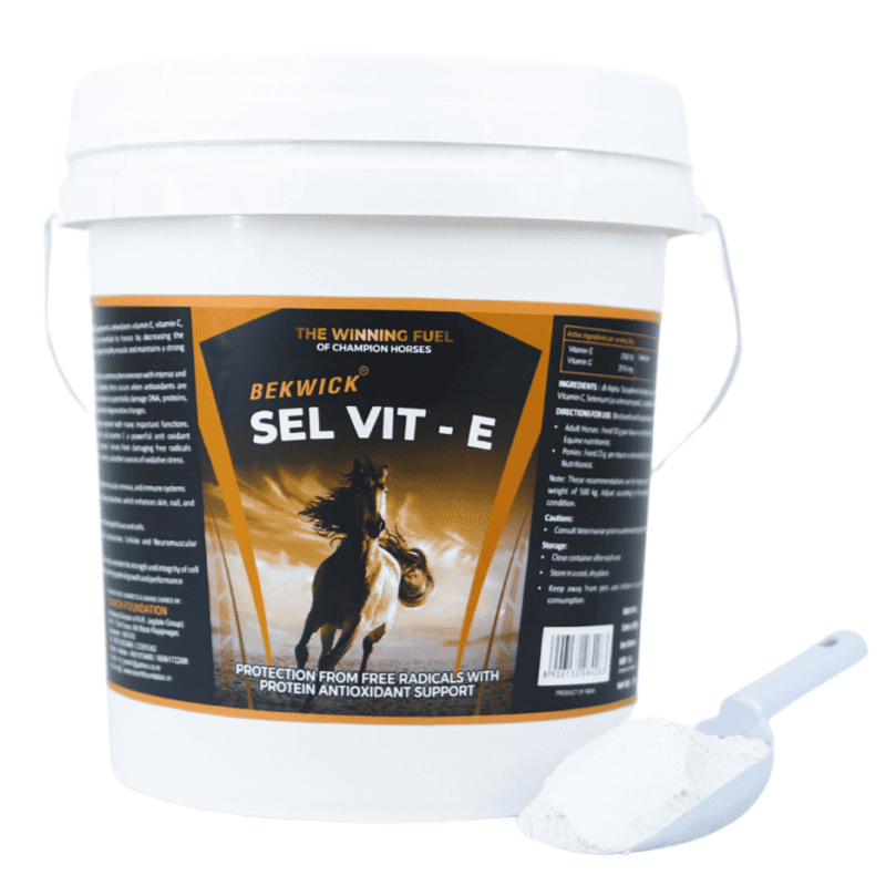 Bekwick SEL-VIT E - 5Kg | Antioxidant Support for Horses
