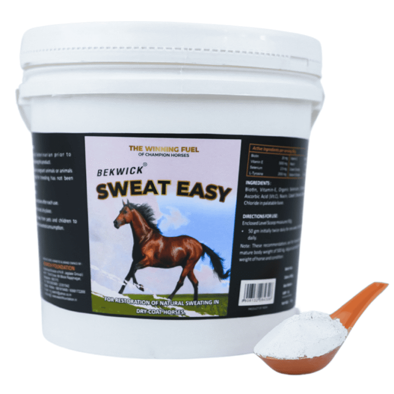 Bekwick Sweat Easy - 1Kg | Nutritional Support for Anhidrosis