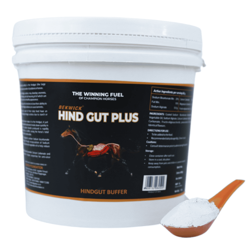 Bekwick Hind Gut Plus - 1KG